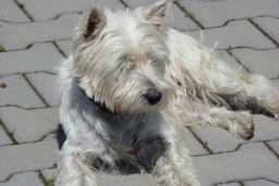 Resize of DSC04982.JPG